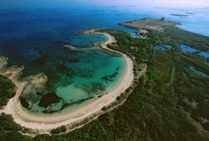 Azienda Agrituristica Masseria Campi San Vito dei Normanni Eksteriør bilde