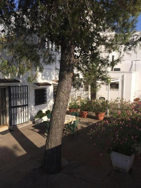 Azienda Agrituristica Masseria Campi San Vito dei Normanni Eksteriør bilde